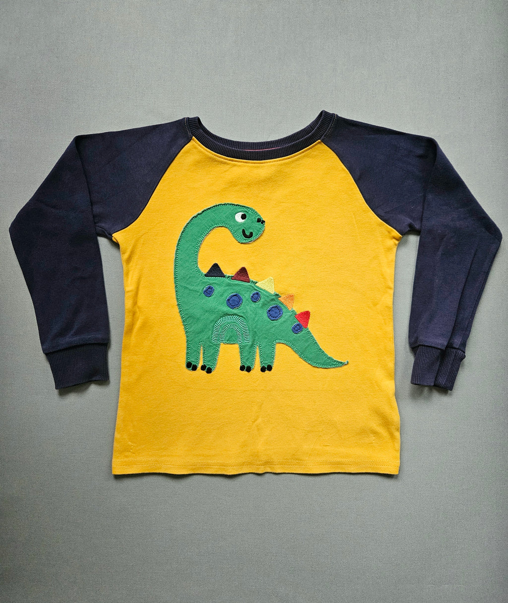 Langarmshirt Dino-Motiv - Größe 110 - NEXT