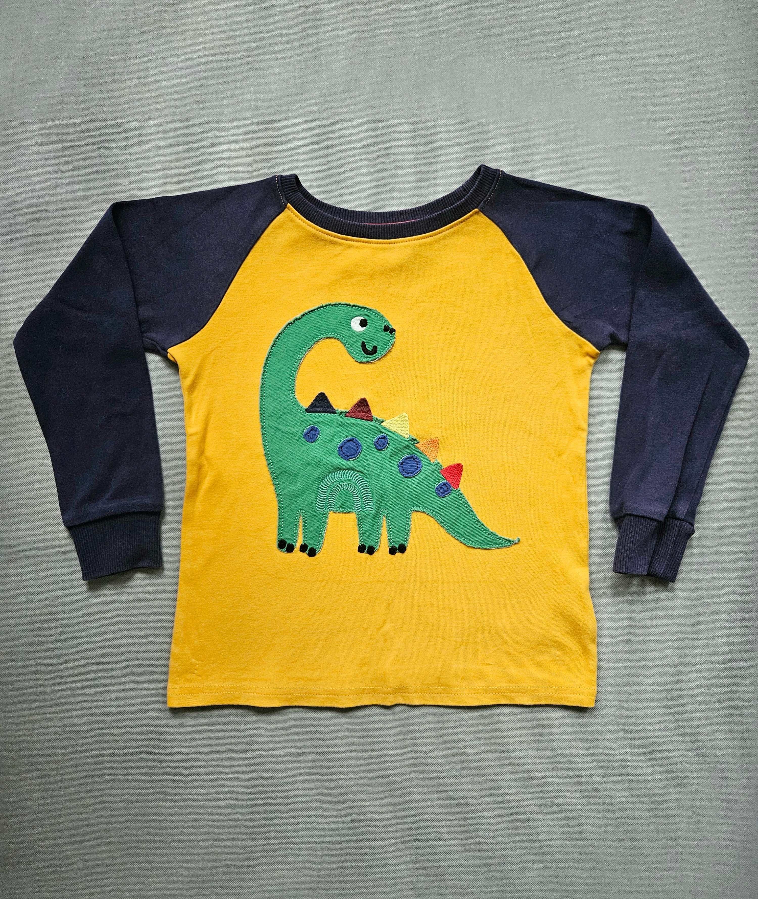 Langarmshirt Dino-Motiv - Größe 110 - NEXT