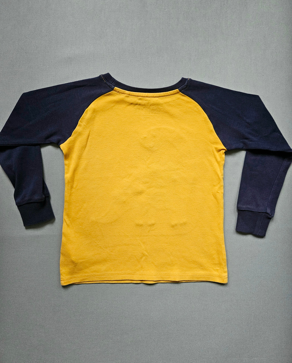 Langarmshirt Dino-Motiv - Größe 110 - NEXT