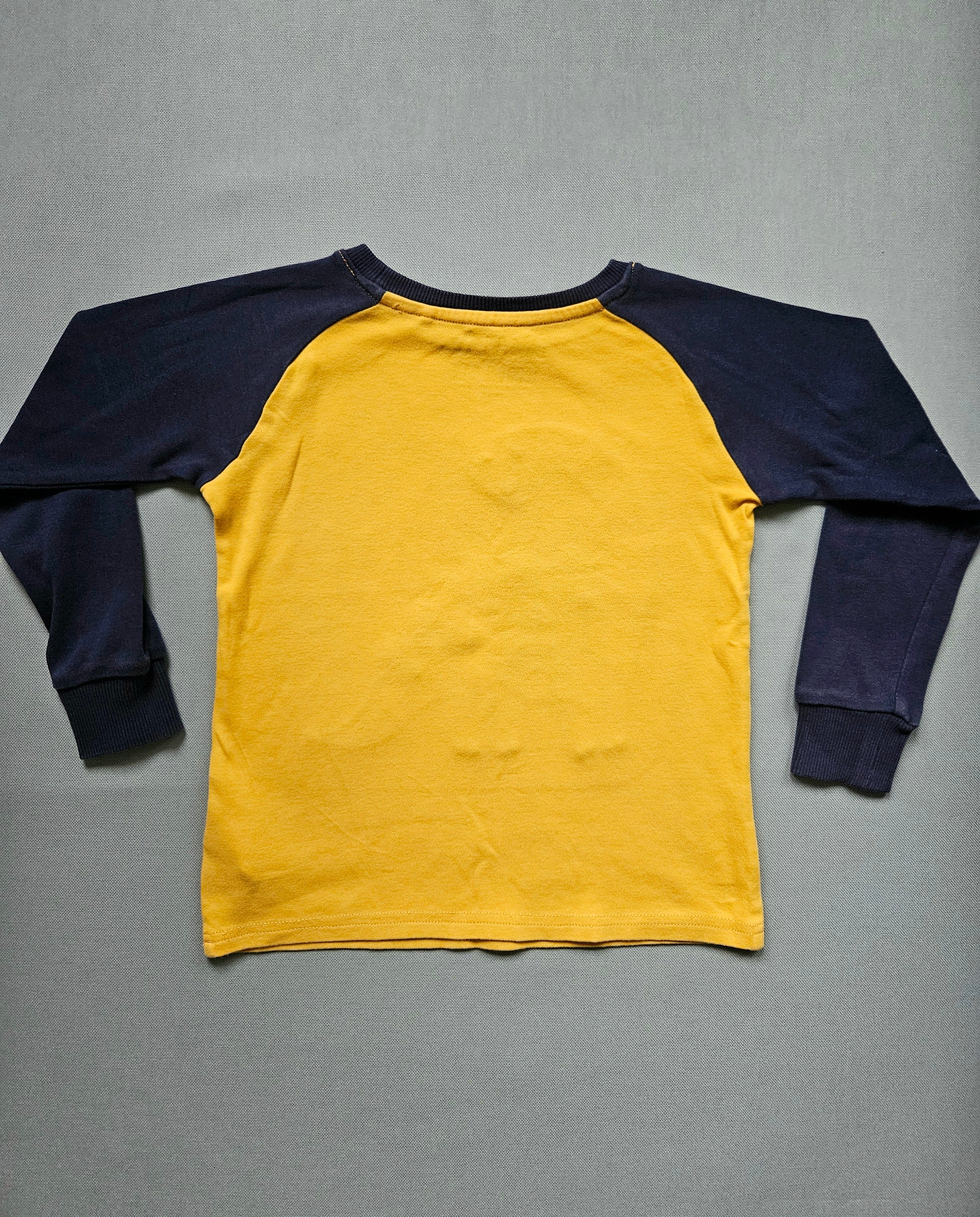 Langarmshirt Dino-Motiv - Größe 110 - NEXT