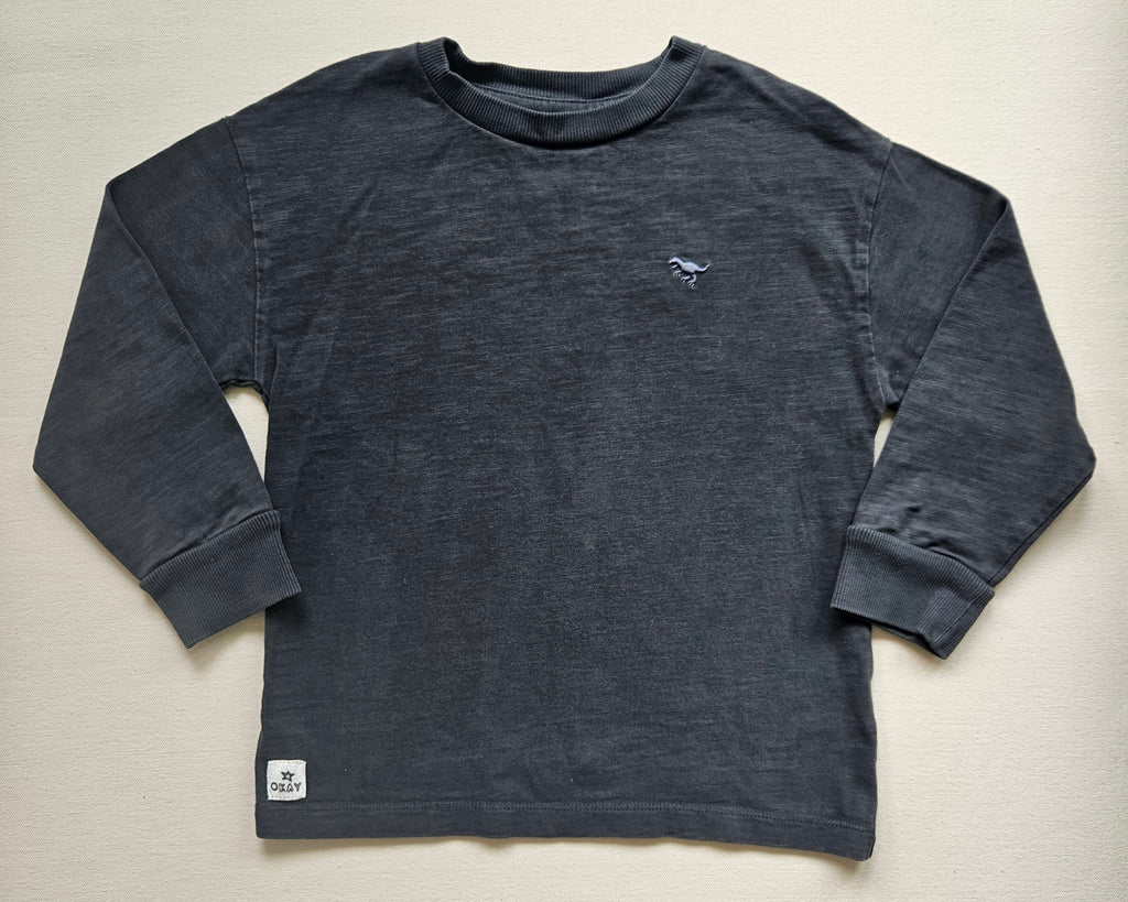 Next Sweatshirt mit Dino 🦖 | Gr. 110