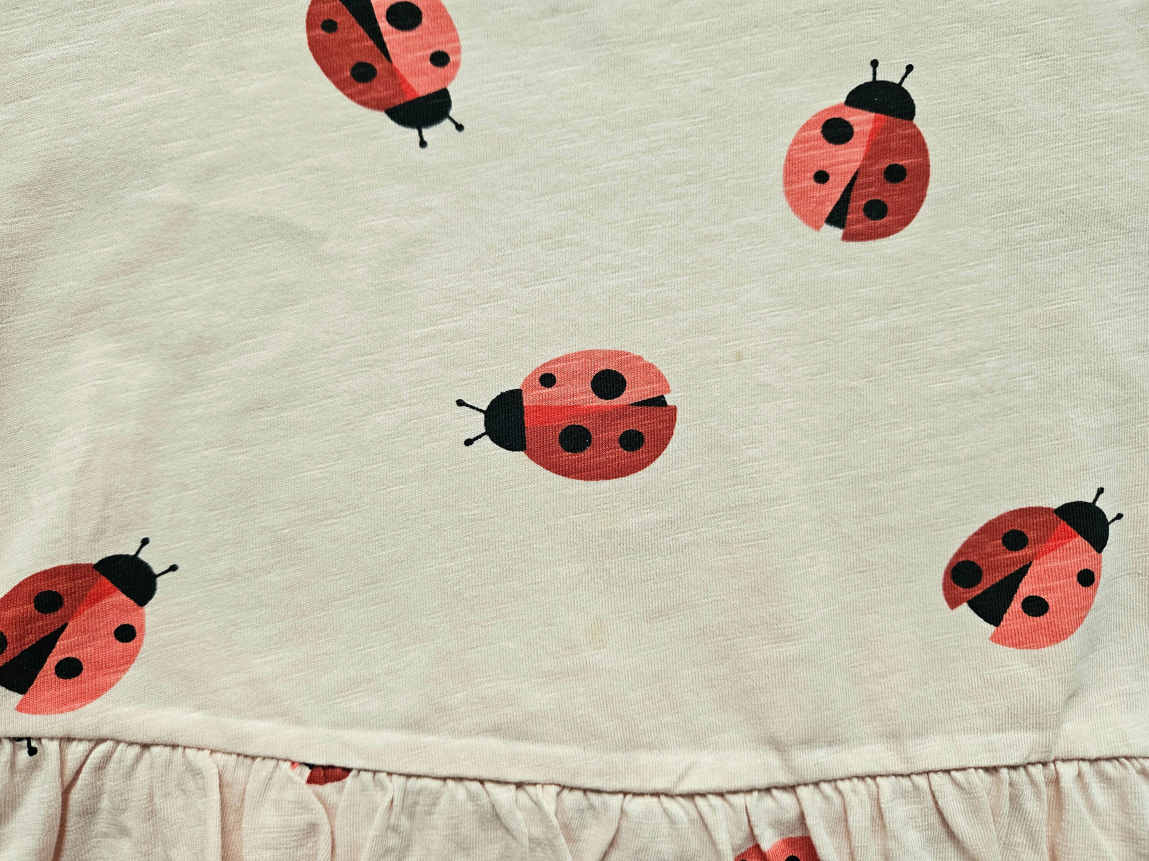 Next Tunika Shirt mit Marienkäfern 🐞 | Gr. 104