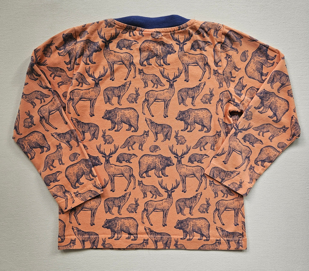 Alana Langarmshirt mit Waldtier-Motiv 🦌 | Gr. 104