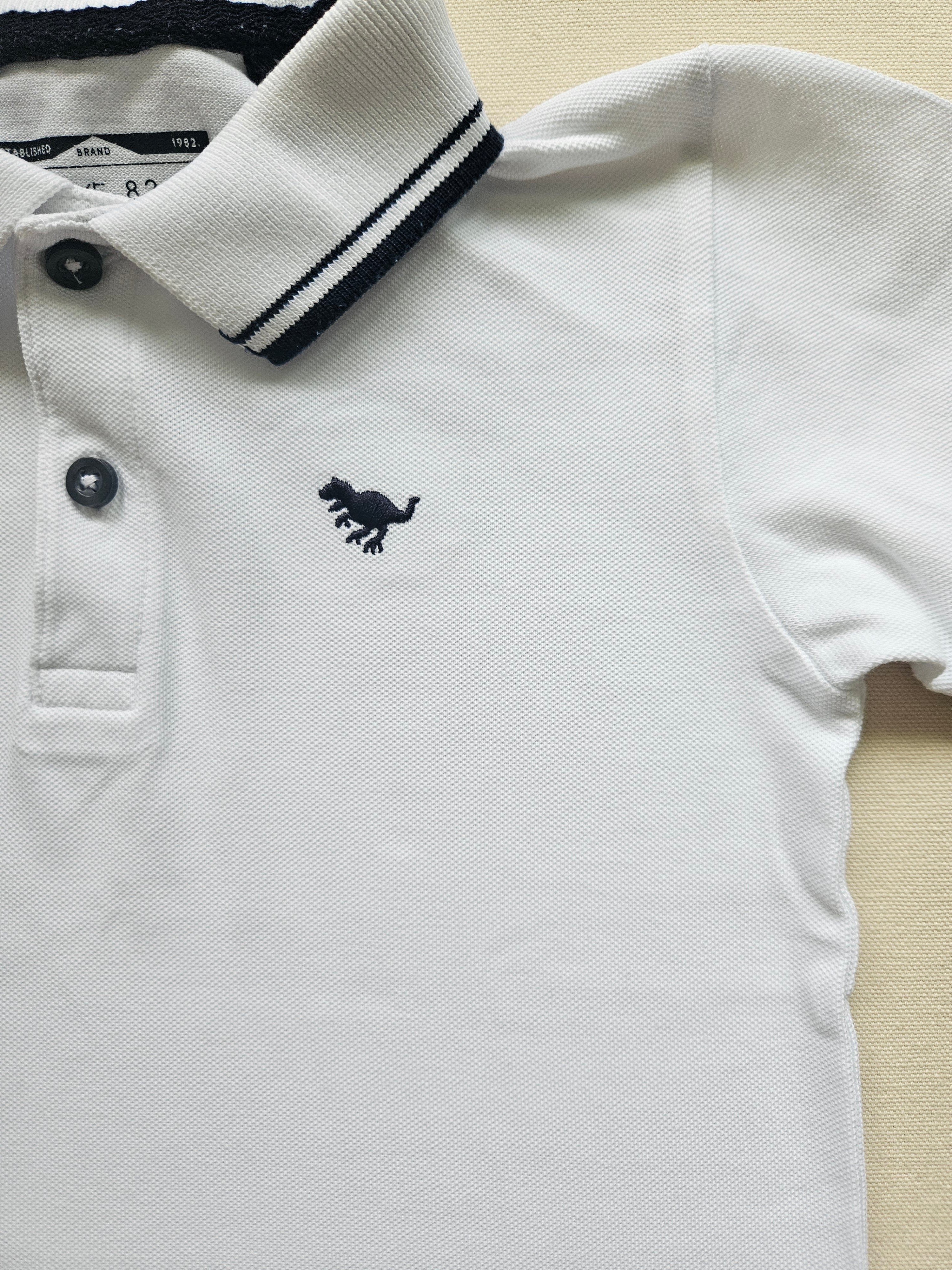 Next Poloshirt mit Dino-Stickerei 🦖 | Gr. 110