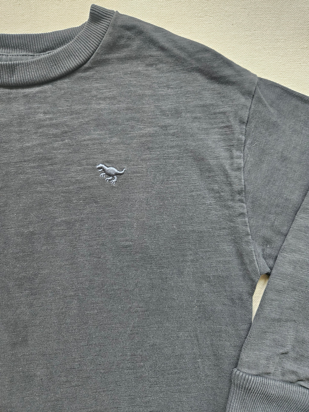 Next Sweatshirt mit Dino 🦖 | Gr. 110