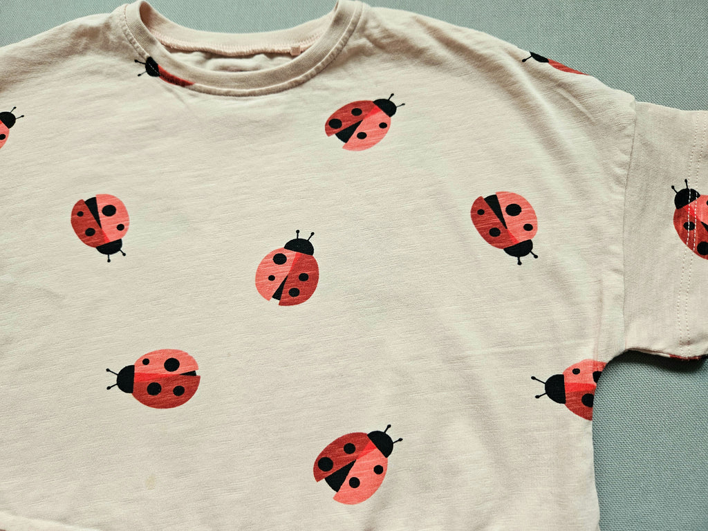 Next Tunika Shirt mit Marienkäfern 🐞 | Gr. 104