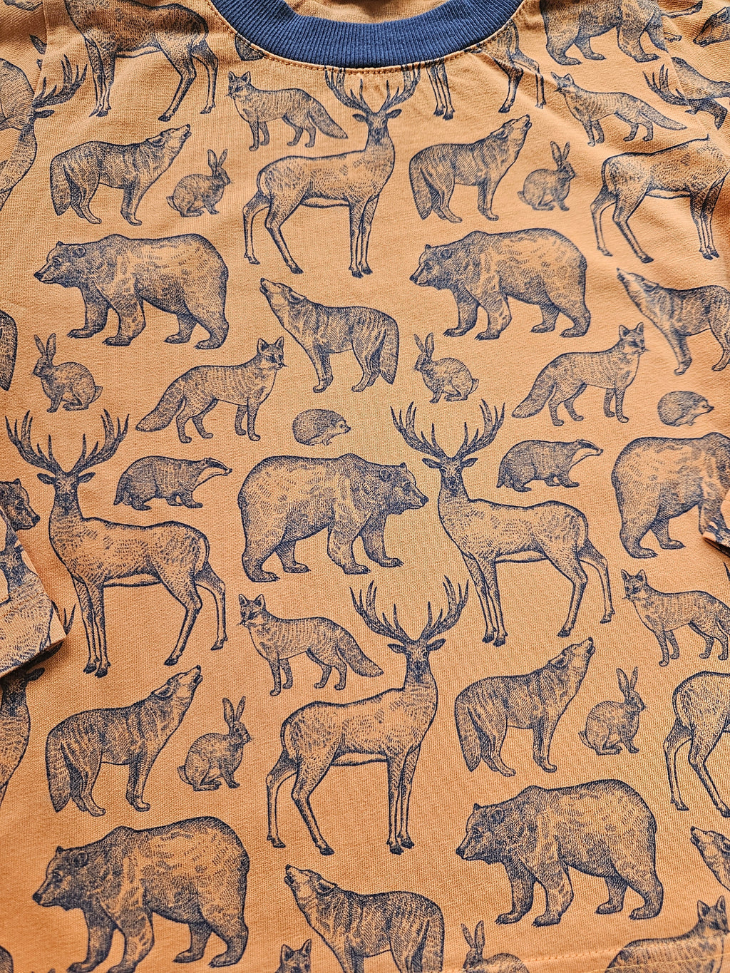 Alana Langarmshirt mit Waldtier-Motiv 🦌 | Gr. 104