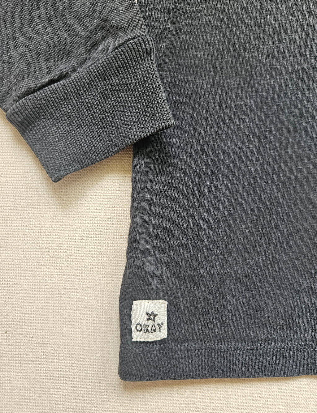 Next Sweatshirt mit Dino 🦖 | Gr. 110